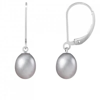 Sterling Silver 7-7.5mm Gray Freshwater Pearl Earrings