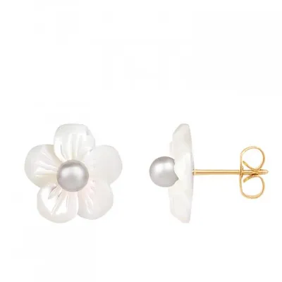 14K Yellow Gold 4-4.5mm Freshwater Pearls and 10mm Mother of Pearl Stud Earrings