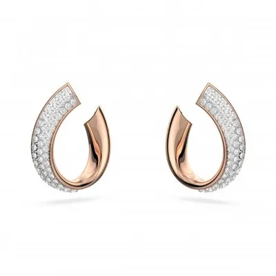 Swarovski Exist Earrings