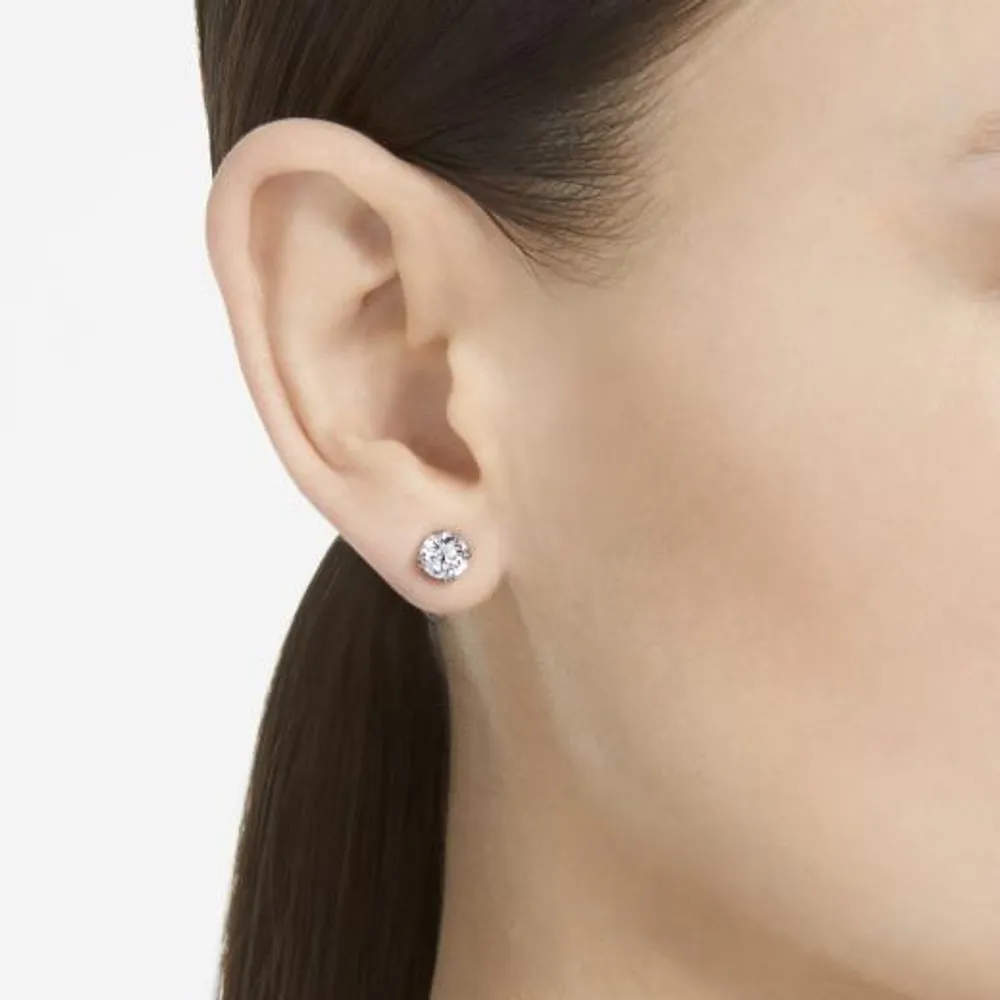 Swarovski Constella Studs