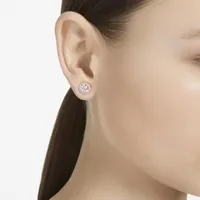 Swarovski Constella Studs