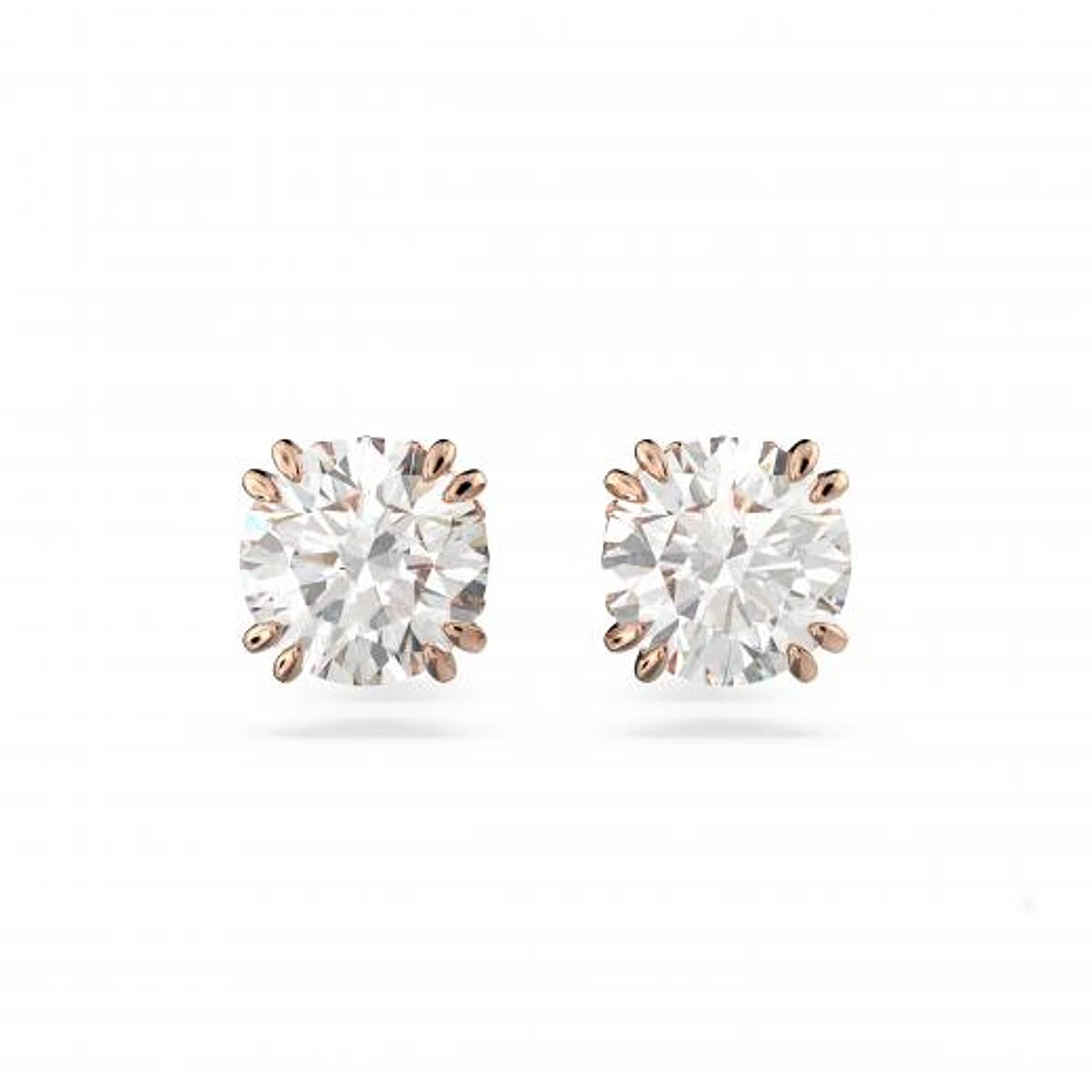 Swarovski Constella Studs