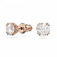 Swarovski Constella Studs