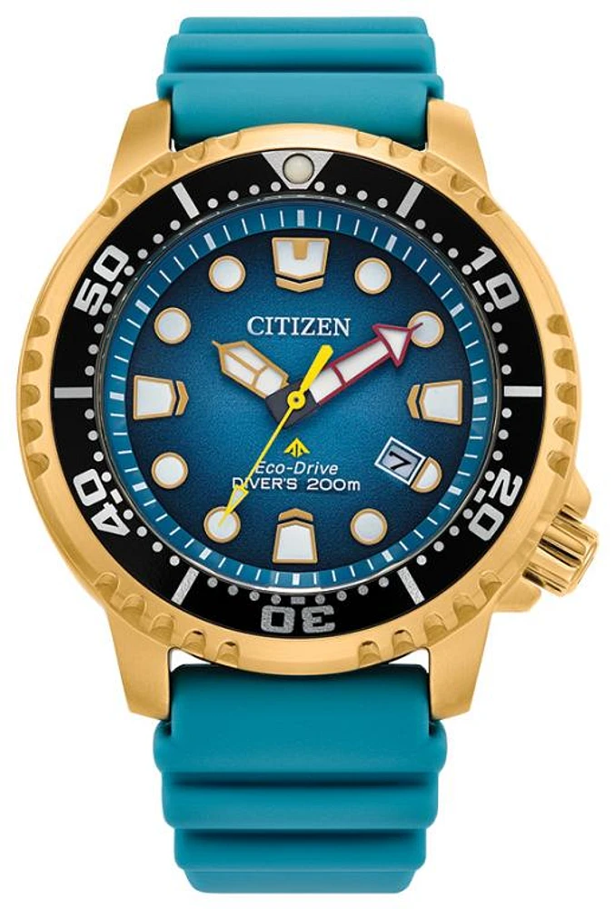Citizen Unisex Dive Watch