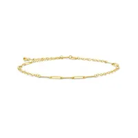 10K Yellow Gold 8.5" Paperclip Link Anklet