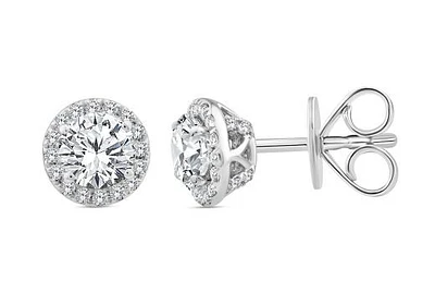 Above Love Lab Grown 1.37CTW Diamond Stud Earrings in 14K White Gold