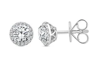 Above Love Lab Grown 1.37CTW Diamond Stud Earrings in 14K White Gold