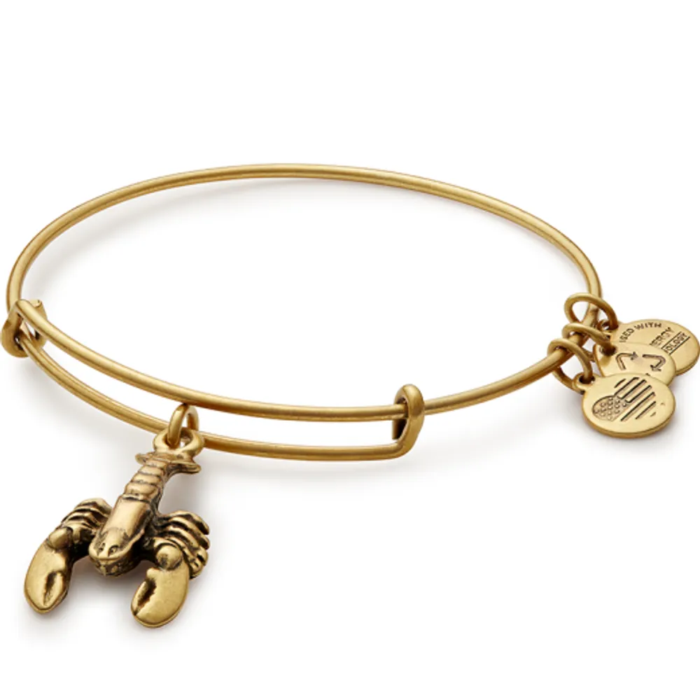 Alex and Ani Lobster Charm Bangle