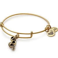 Alex and Ani Mermaid Charm Bangle