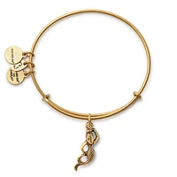 Alex and Ani Mermaid Charm Bangle