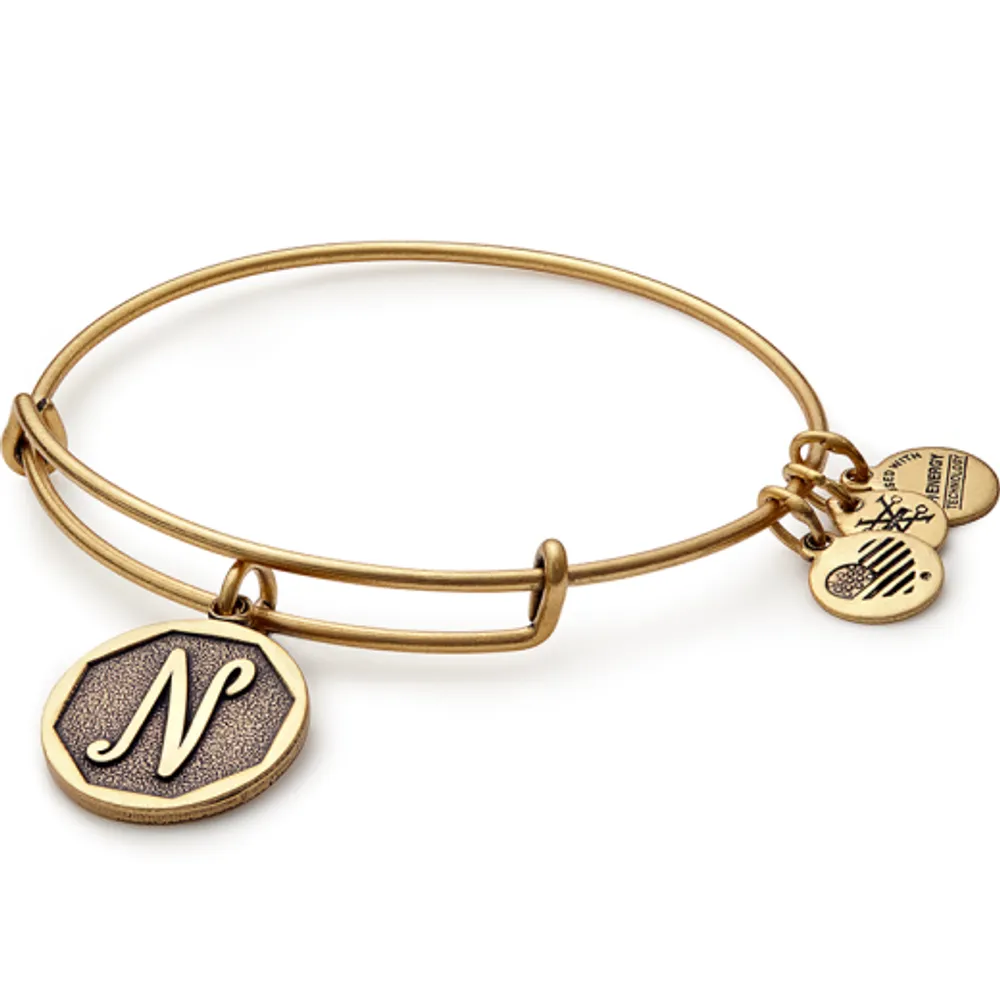 Alex and Ani Initial N Charm Bangle