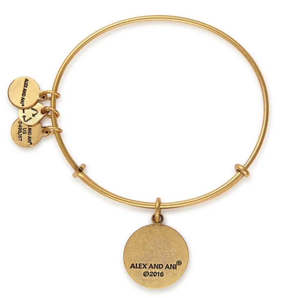 Alex and Ani Initial U Charm Bangle