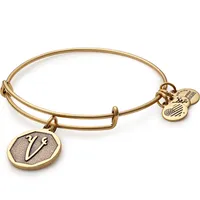 Alex and Ani Initial V Charm Bangle