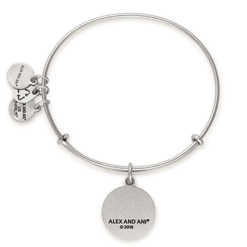 Alex and Ani Initial V Charm Bangle
