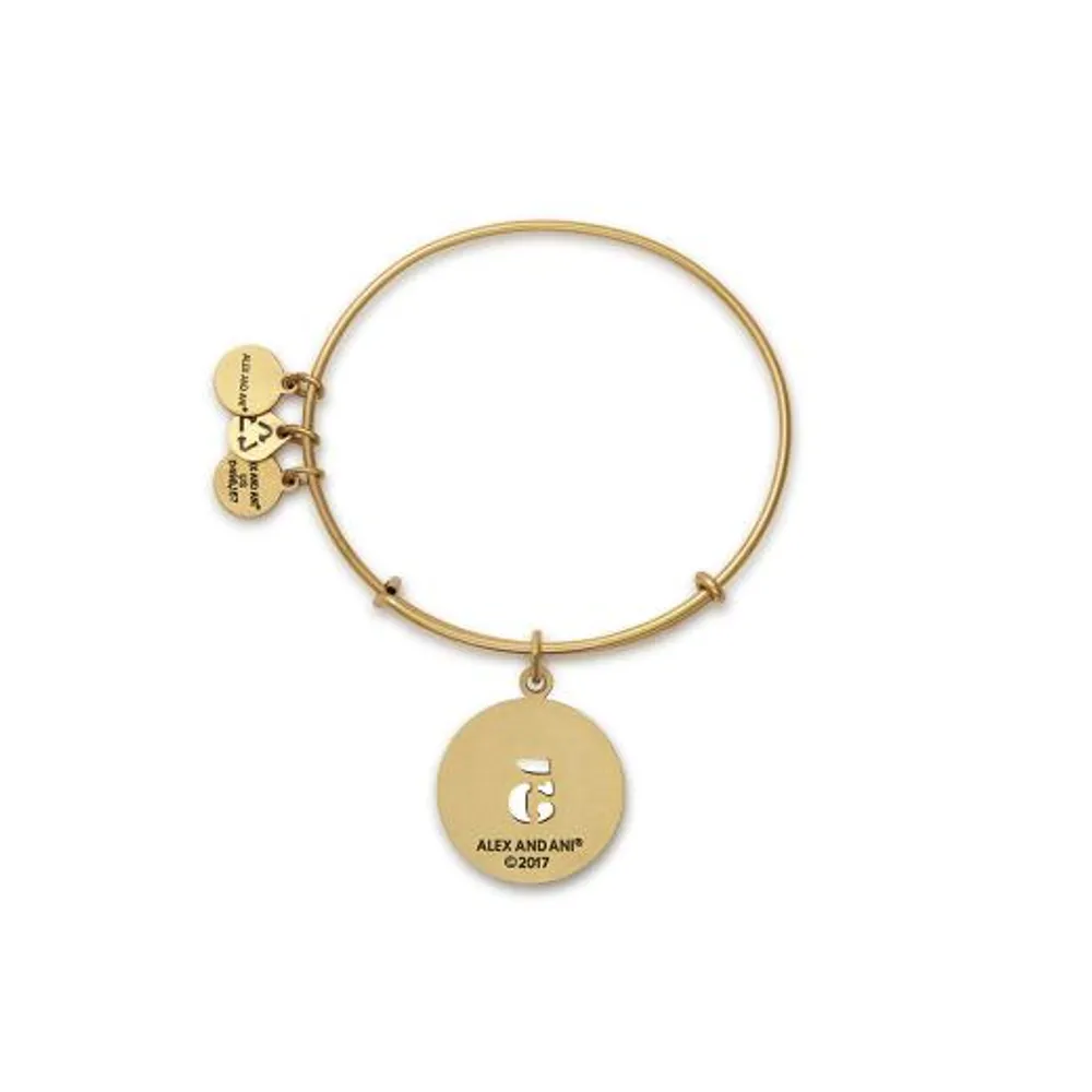 Alex and Ani Numerology Number Six Bangle