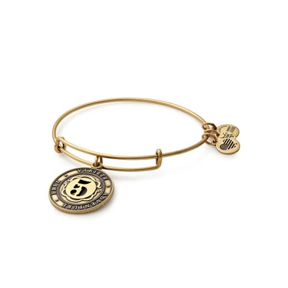 Alex and Ani Numerology Number Six Bangle