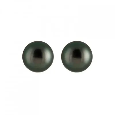 Tahitian Pearl Stud Earrings