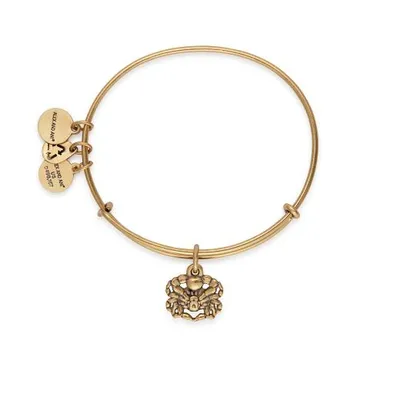 Alex and Ani Crab II Bangle