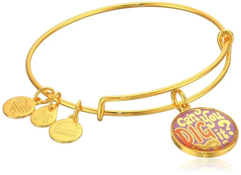 Alex and Ani Can You Dig It Wrap Bracelet