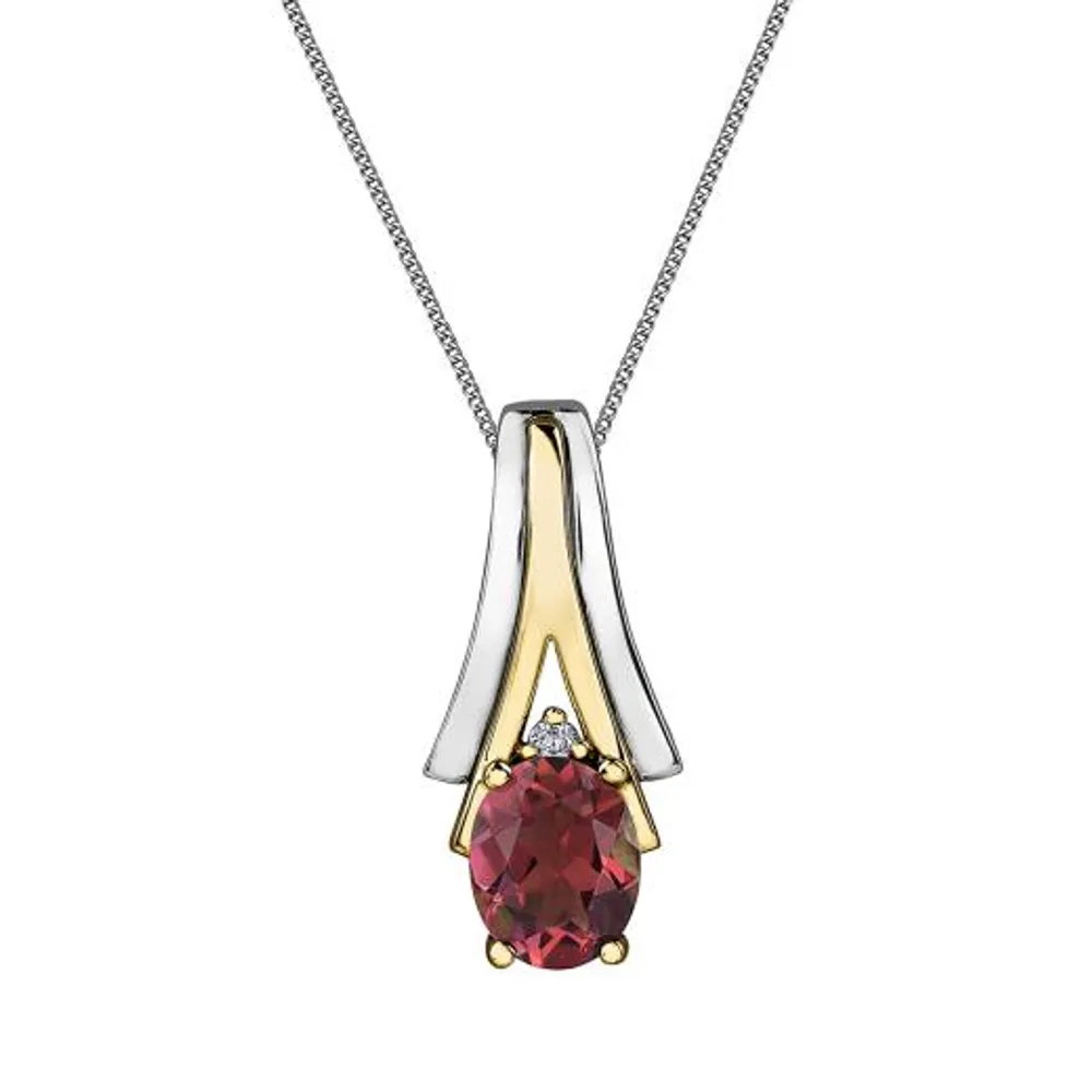 10K White & Yellow Gold Garnet & 0.008CTW Diamond Pendant with Chain