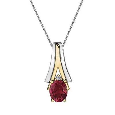 10K White & Yellow Gold Ruby & 0.008CTW Diamond Pendant with Chain