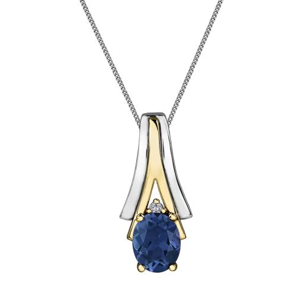 10K White & Yellow Gold Sapphire & 0.008CTW Diamond Pendant with Chain