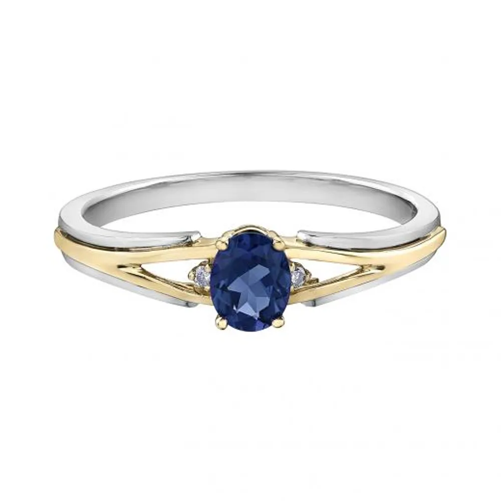 10K White & Yellow Gold Sapphire & 0.015CTW Diamond Ring