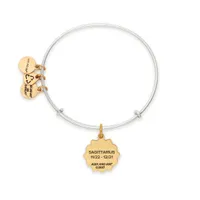 Alex and Ani Sagittarius Two-Tone Bangle