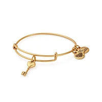 Alex and Ani Key To Love Bangle