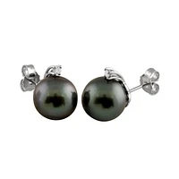 14K White Gold 11-12mm Round Tahitian Pearl & Diamond Earrings