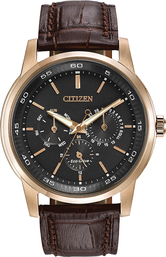Citizen Men's Corso Watch