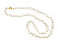 14K Yellow Gold 6mm Pearl 20" Necklace