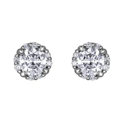 Glacier Fire 0.50CTW White Gold Studs