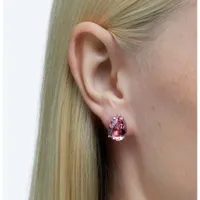 Swarovski Gema Stud Earrings