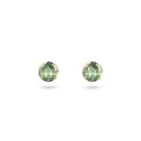 Swarovski Stilla Studs