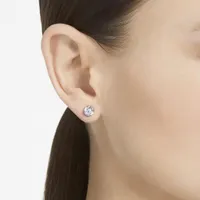 Swarovski Constella Studs