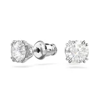 Swarovski Constella Studs