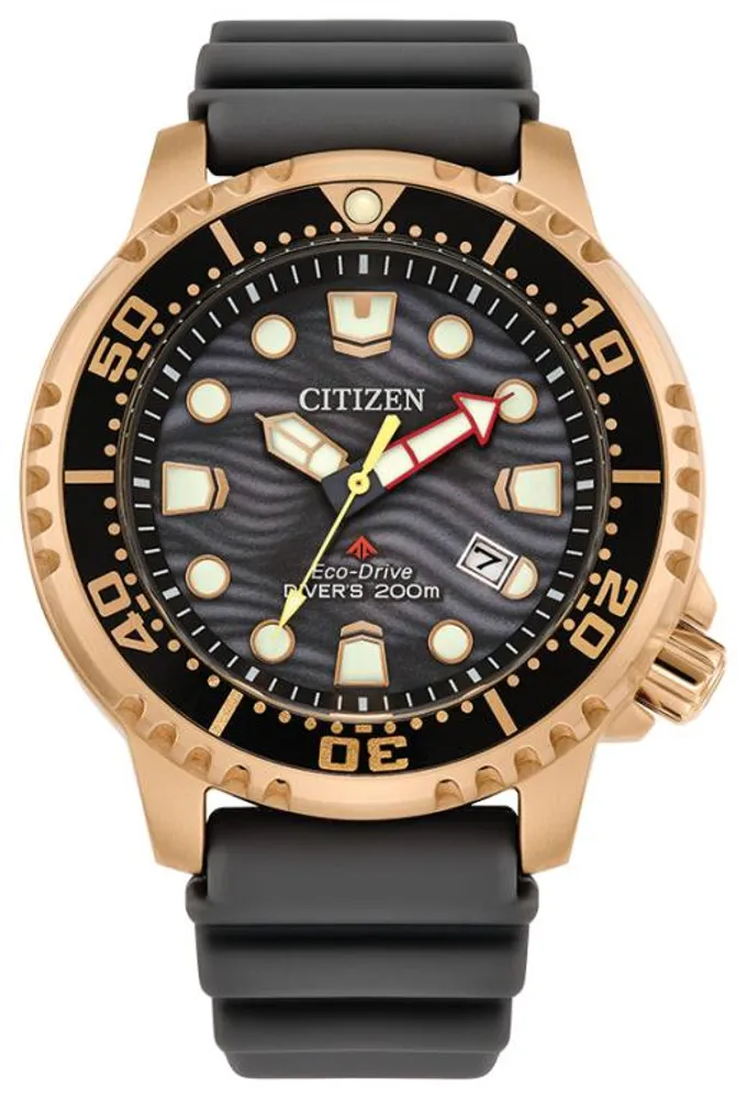 Citizen Eco Drive Promaster Dive Watch