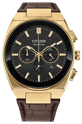 Citizen Eco Modern Watch