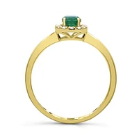 10K Yellow Gold Emerald & Diamond Halo Ring