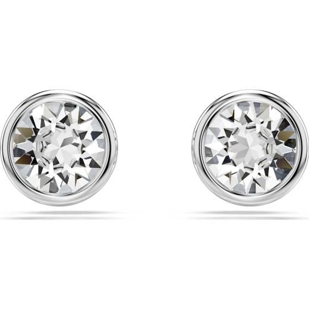 Swarovski Imber Studs