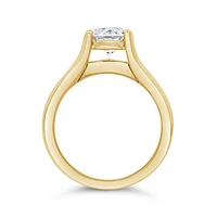 New Brilliance Lab Grown 2.00CTW Diamond Bridal Ring in 14K Yellow Gold