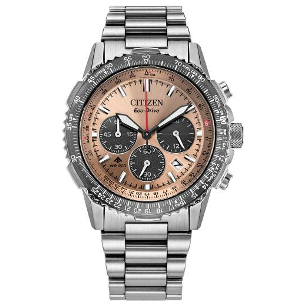 Citizen Men's Silver-Tone Salmon Promaster Navihawk Watch
