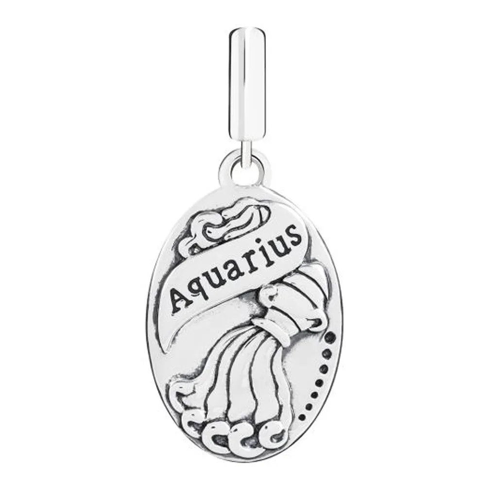 Chamilia Sterling Silver Zodiac Aquarius