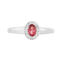 10K White Gold 0.05CTW Diamond and Ruby Halo Ring