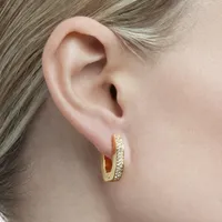 Swarovski Dextera Earrings