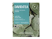 DAVIDsTEA Herbal Infusion Tisane - Cold 911 - 12's