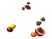 REESE'S PIECES Candies - Chocolate Cookie - 170g