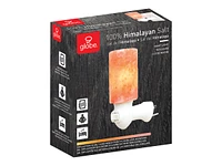 Globe Himalayan Salt Night Light