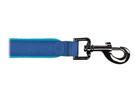 Nite Ize NiteDog Rechargeable LED Leash - Blue - NDLR-03-R3